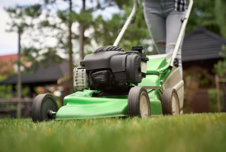 Tondeuse à gazon en Tunisie : prix, modèles et conseils 2026